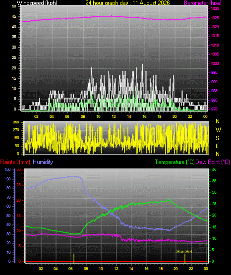 24 Hour Graph for Day 11