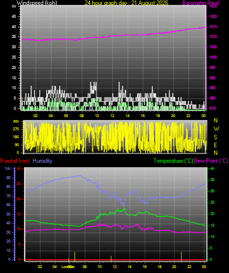 24 Hour Graph for Day 21