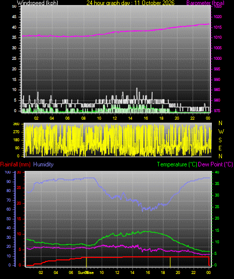 24 Hour Graph for Day 11
