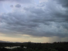 Nimbostratus
